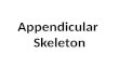 Appendicular Skeleton. Pectoral girdle & arms Pelvic girdle & legs