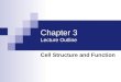 Chapter 3 Lecture Outline Cell Structure and Function