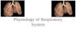 Physiology of Respiratory System. Respiration Pulmonary ventilation –Breathing- air movement in and out of body External respiration –Oxygen loading and