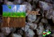 Soil is made of loose, weathered rock and organic material