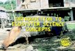 INTRODUCTION TO ECOSYSTEM SCIENCE CONCEPTS. Introduction to Environmental Science in the Mekong River Basin2 Lesson Learning Goals At the end of this