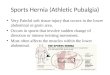 Sports Hernia (Athletic Pubalgia) Very Painful soft tissue injury that occurs in the lower abdominal or groin area. Occurs in sports that involve sudden
