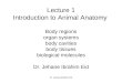 Lecture 1 Introduction to Animal Anatomy Body regions organ systems body cavities body tissues biological molecules Dr. Jehane Ibrahim Eid Dr. Jehane Ibrahim