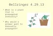 Bellringer 4.29.13 What is a plant that is propagated asexually? Why would a grower want to asexually propagate?