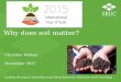 Why does soil matter? Christine Watson November 2015