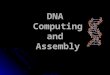 DNA Computing and Assembly ADN_animation.gif