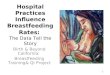 1 Hospital Practices Influence Breastfeeding Rates: The Data Tell the Story Birth & Beyond California: Breastfeeding Training& QI Project