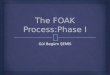 Gül Begüm ŞEMİS. Milestones Appointments Due dates Check lists Approval 01.03.2012The FOAK Process Phase I2 Project Process