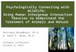 Psychologically Connecting with Wildlife: Using Human Intergroup Interaction Theories to Understand the Treatment of Animals and Nature Brittany Bloodhart,