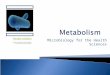 Microbiology for the Health Sciences. Metabolism: the sum of all chemical reactions that occur in a living cell in order that the cell sustains its life’s
