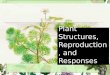 Plant Structures, Reproduction, and Responses Levels of Organization