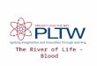 The River of Life - Blood. Blood – Did You Know… An average adult has approximately 4.7 L (5 quarts) of blood. Blood comprises about 8% of a person’s