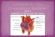 Part 1 Anatomy of Blood and the Heart. What’s in your blood? Functions of Blood Cells Anatomy of the Heart