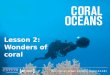 Lesson 2: Wonders of coral Become an ocean explorer (ages 11-14)