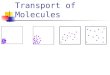 Transport of Molecules. concentration Where is there a higher concentration of yellow dots? AB