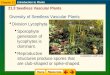 Diversity of Seedless Vascular Plants  Division Lycophyta 21.3 Seedless Vascular Plants Introduction to Plants  Sporophyte generation of lycophytes