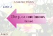 A.A.D Grammar Review Unit 2 The past continuous tense The past continuous tense