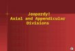 Jeopardy! Axial and Appendicular Divisions Jeopardy! Axial and Appendicular Divisions