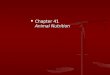 Chapter 41 Animal Nutrition. Nutritionally Adequate Diet Fuel Fuel Biosynthesis raw materials Biosynthesis raw materials Essential nutrients Essential