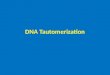 DNA Tautomerization. - Tautomerism is the ability of a molecule to exist in more than one chemical form. - Many tautomers are formed by migration of a