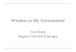 Window to My Environment Tom Brody Region 5 US EPA (Chicago)