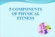 The Components of Physical Fitness are: Cardiovascular Endurance Muscular Strength Muscular Endurance Flexibility Body Composition