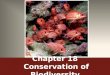 Chapter 18 Conservation of Biodiversity. Extinction is Forever Extinction (aka biological extinction) – A process in which an entire species ceases to