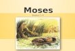 Moses Exodus 1-4. Exodus 1â€“4 Moses: The Early Years Exodus 5â€“12 10 plagues Exodus 13â€“15 The Red Sea Exodus 16â€“18 Manna, quail, and water from a