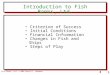 1B Introduction to Fish Banks, Ltd. Criterion of Success Initial Conditions Financial Information Changes in Fish and Ships Steps of Play Fish Banks, Ltd