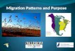Why Migrate? Food availability Weather Mating So where to? Many birds follow migration corridors called flyways Following important habitat features;