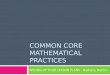 COMMON CORE MATHEMATICAL PRACTICES SPICING UP YOUR LESSON PLANS – Bethany Morton