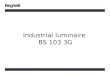 Industrial luminaire BS 103 3G. BS103 color RAL 7035 polycarbonate body polycarbonate diffuser high luminous efficiency reflector in metalised polycarbonate