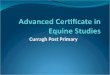 Curragh Post Primary. Curragh Post Primary Horsemanship Courses These courses are aimed at Post Leaving Certificate students who wish to gain specific