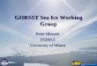 GHRSST 8 th Science Team Melbourne, May 2007 GHRSST Sea Ice Working Group Peter Minnett RSMAS University of Miami