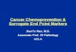 Cancer Chemoprevention & Surrogate End Point Markers JianYu Rao, M.D. Associate Prof. Of Pathology UCLA