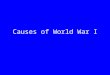 Causes of World War I. The Main Trigger Why was the assassination of Arch Duke Franz Ferdinand so important that it caused World War 1?