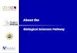 About the Biological Sciences Pathway. Goal of the NSDL Biological Sciences Pathway The BiosciEdNet (BEN) Collaborative is working with the CI and other
