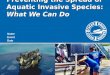Preventing the Spread of Aquatic Invasive Species: What We Can Do Name Event Date