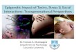 Dr. Frances A. Champagne Department of Psychology Columbia University Epigenetic Impact of Toxins, Stress & Social Interactions: Transgenerational Perspectives