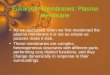Eukaryotic Membranes: Plasma Membrane As we discussed when we first mentioned the plasma membrane it is not as simple as pictures make it look. These membranes