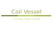Coil Vessel Vocabulary, Criteria, and Steps. Coil Pot Criteria… 20 pts each  Students will create a Coil Pot which… Is at least 9” in height by 4” in
