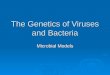 The Genetics of Viruses and Bacteria Microbial Models