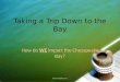 Taking a Trip Down to the Bay How do WE impact the Chesapeake Bay?
