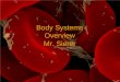 Body Systems Overview Mr. Sierer. 1. cell membrane - the thin outer covering of a cell; holds the cell together 2. nucleus – the small central core in
