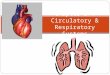 Chapter 37: Circulatory & Respiratory Systems Circulation: Structure and Function TRANSPORTATION Cells need to get nutrients and oxygen and get rid of
