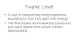 Trophic Level A way of categorizing living organisms according to how they gain their energy The first trophic level would be producers and each higher