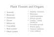 Plant Tissues and Organs Annuals Biennials Perennials Dicots Monocots Cotyledon Root system Shoot system SIMPLE TISSUES Meristems Apical meristems Primary