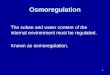 1 Osmoregulation The solute and water content of the internal environment must be regulated. Known as osmoregulation