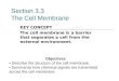Section 3.3 The Cell Membrane KEY CONCEPT The cell membrane is a barrier that separates a cell from the external environment. Objectives Describe the structure