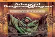 9146 AD&D Dungeon Master's Screen